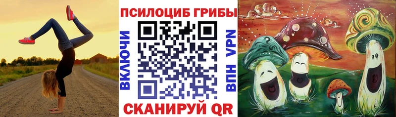 купить закладку  Ногинск  Псилоцибиновые грибы прущие грибы 